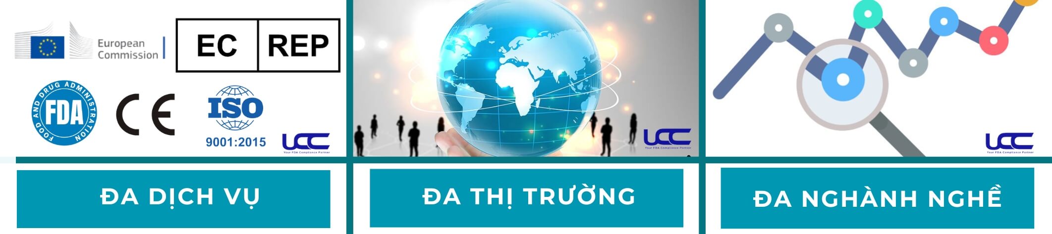 Dự án mới nhất