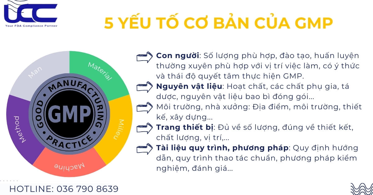 5 yếu tố cơ bản