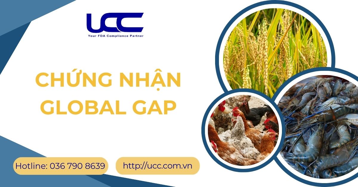 Chứng nhận Global GAP