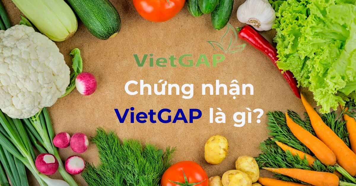 Chứng nhận VietGAP là gì?