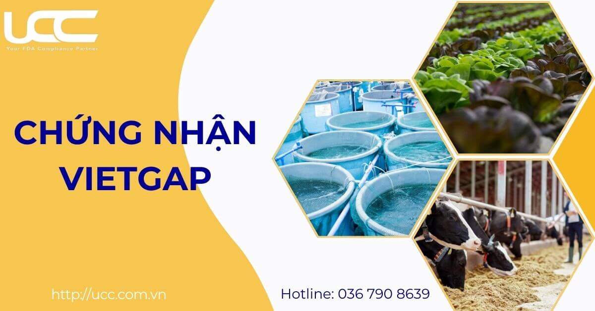 Chứng nhận VietGAP