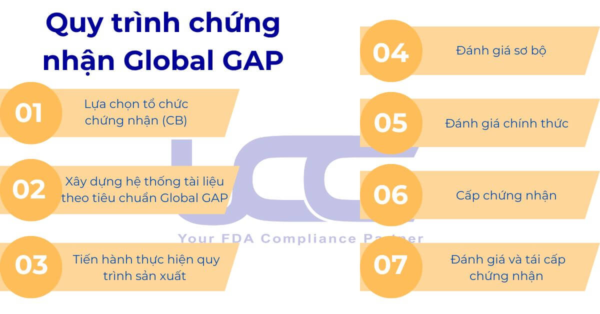 Quy trình chứng nhận Global GAP