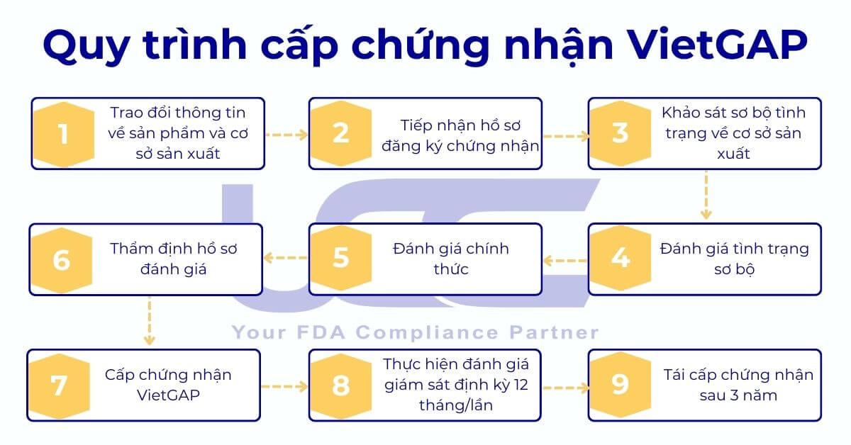 Quy trình đăng ký chứng nhận VietGAP