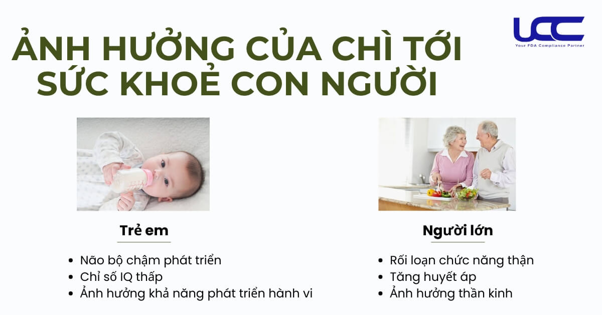 Ảnh hưởng của chì đến sức khoẻ con người