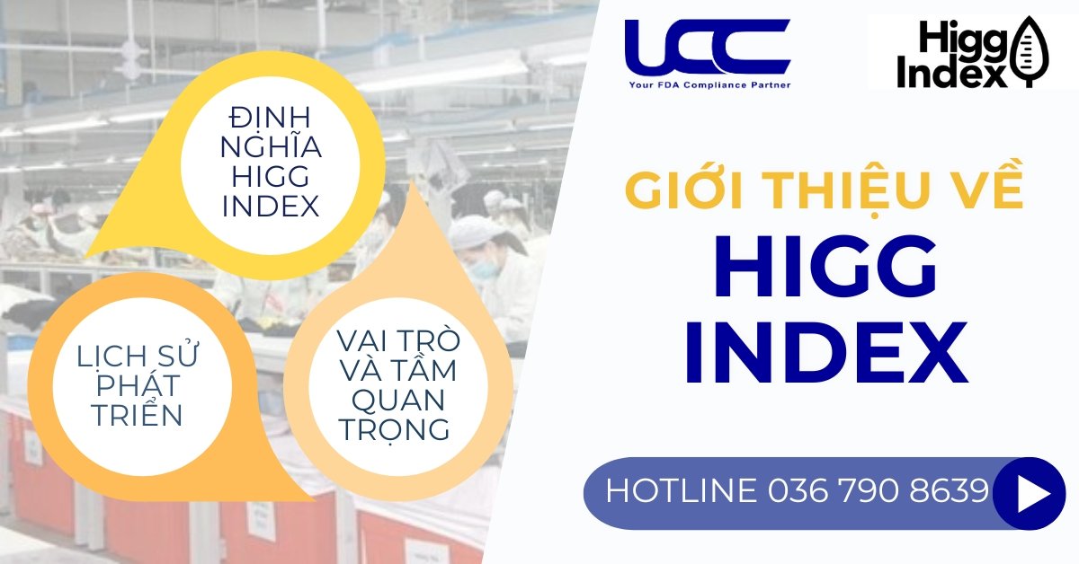 Giới thiệu về HIGG INDEX