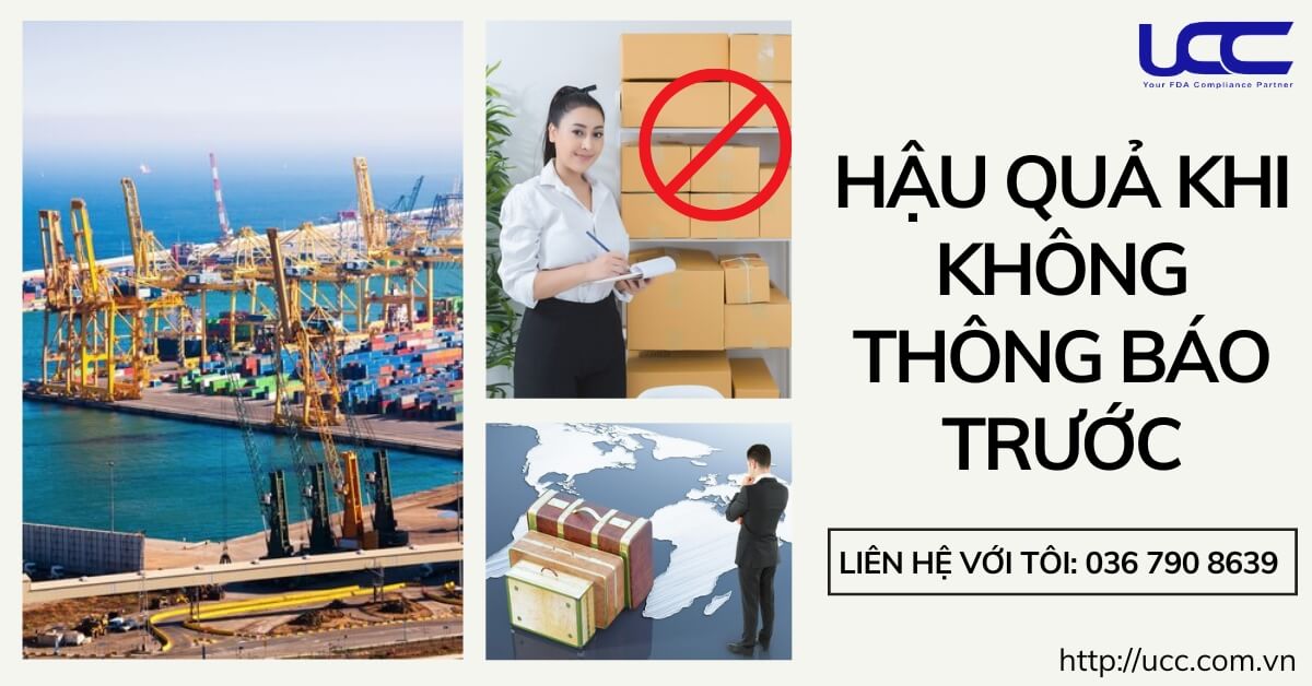 Hậu quả khi không khai báo lô hàng trước khi đến Mỹ