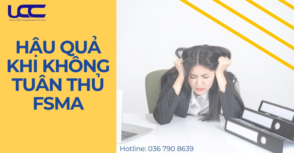 Hậu quả có thể xảy ra nếu không tuẩn thủ FSMA