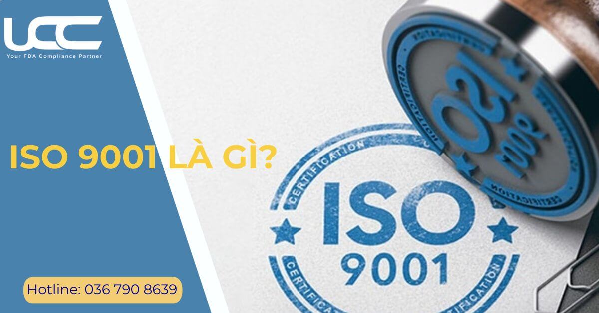 Chứng nhận ISO 9001 - Quy trình đăng ký chứng nhận mới nhất 2024 Iso-9001-la-gi