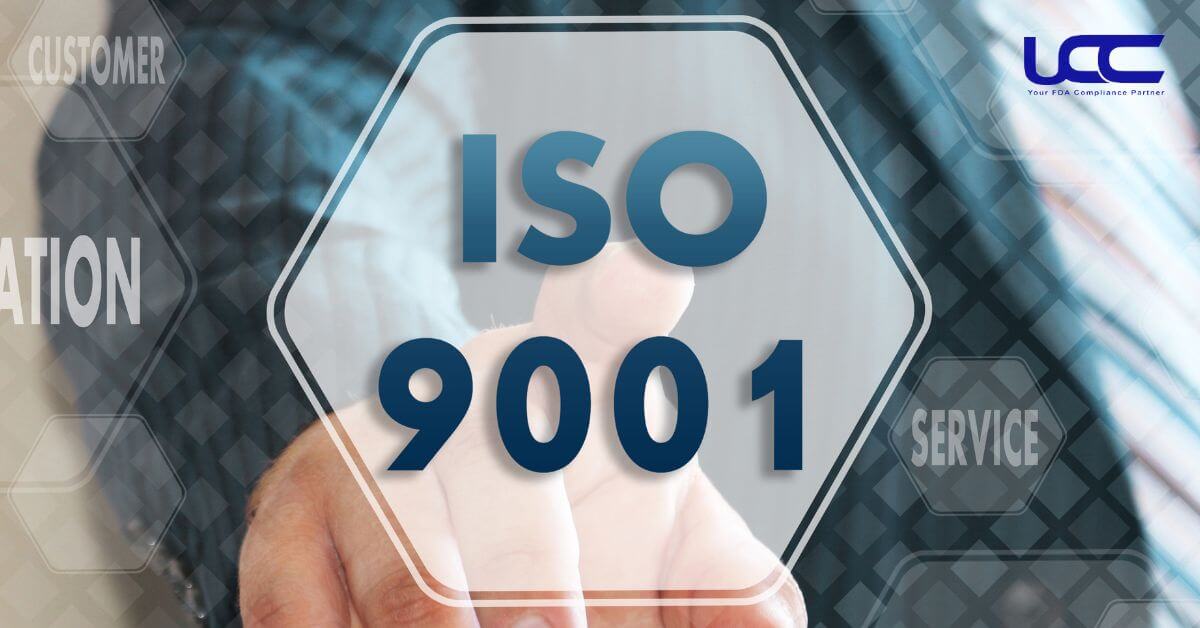 Chứng nhận ISO 9001 - Quy trình đăng ký chứng nhận mới nhất 2024 Iso-9001