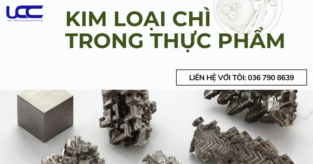 Kim loại chì có trong thực phẩm bằng cách nào?