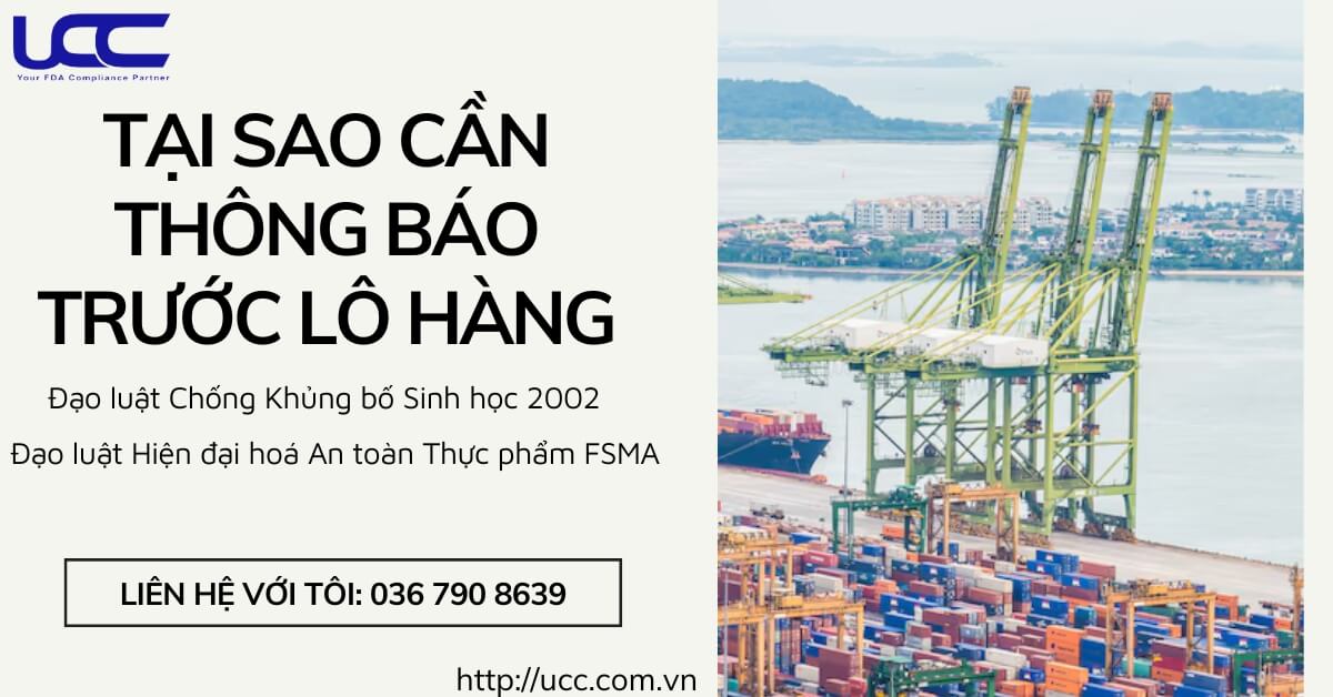 Tại sao cần phải thông báo trước cho lô hàng