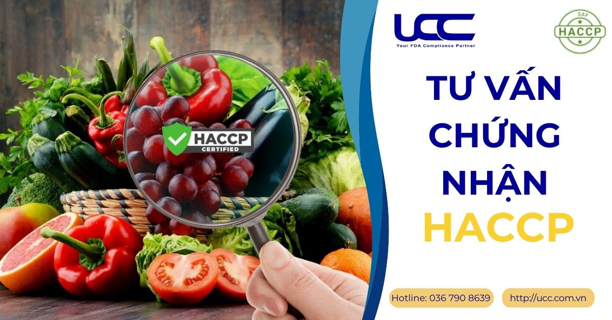 Chứng nhận HACCP: Lợi ích thiết thực đối với doanh nghiệp Tu-van-chung-nhan-haccp-2