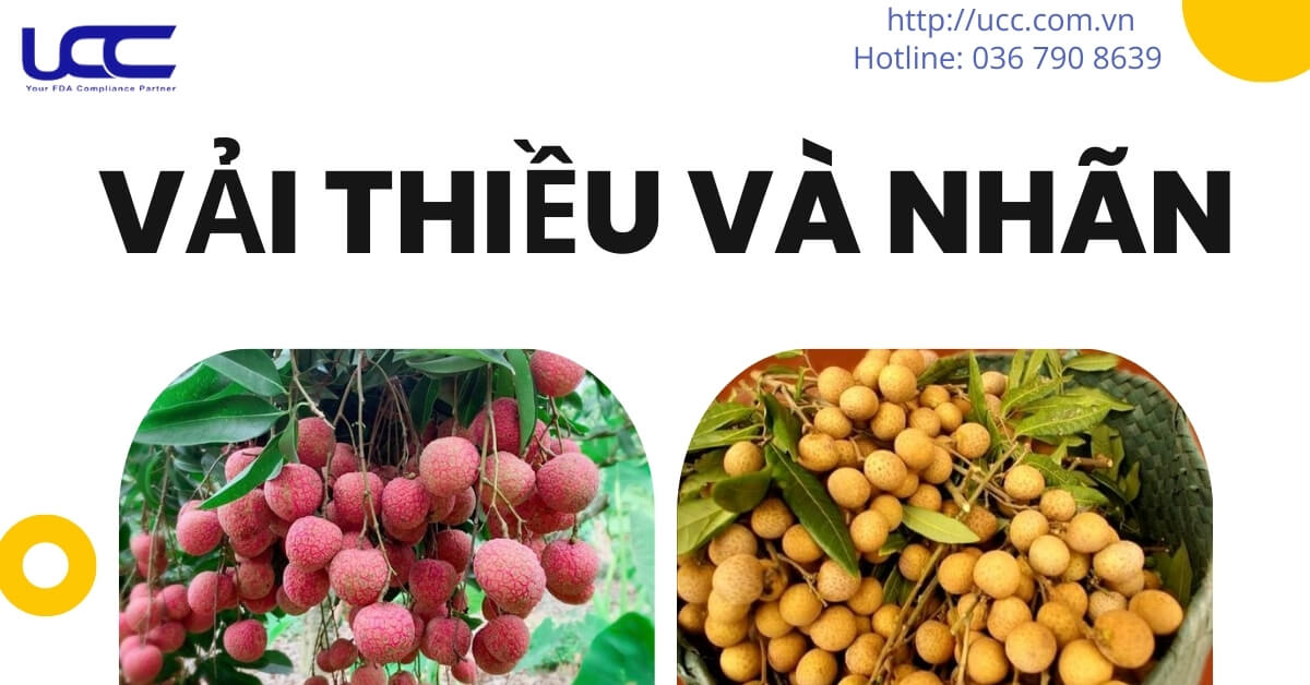 Xuất khẩu trái cây sang mỹ- Quả vải và nhãn