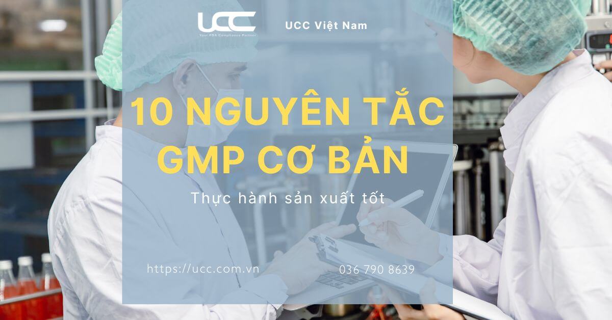 10 Nguyên tắc GMP cơ bản trong Thực hành sản xuất tốt