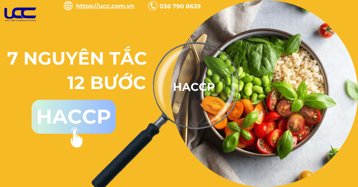 7 Nguyên tắc 12 bước HACCP chi tiết từ A đến Z