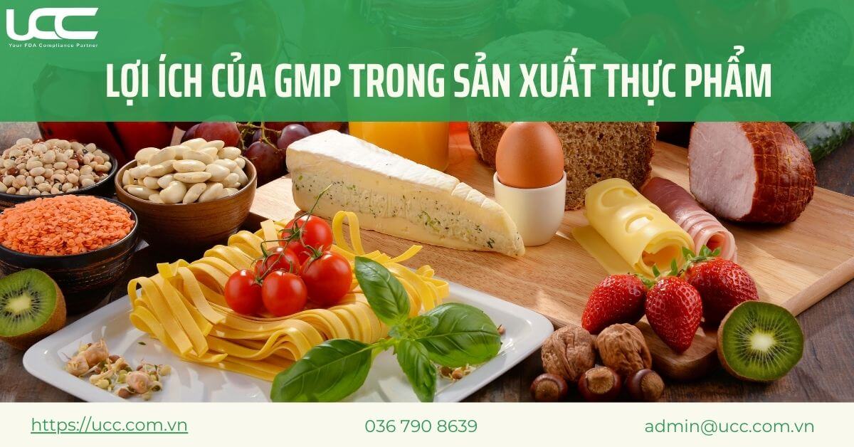 Lợi ích của tiêu chuẩn GMP trong thực phẩm