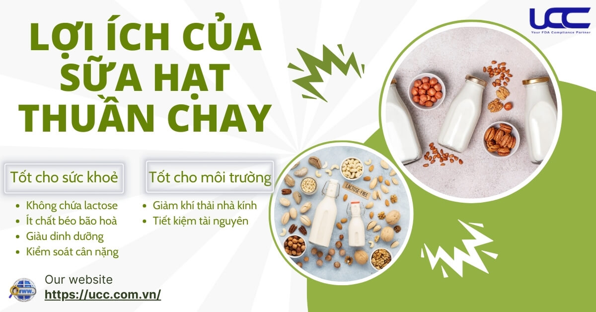 Lợi ích vượt trội của sữa hạt