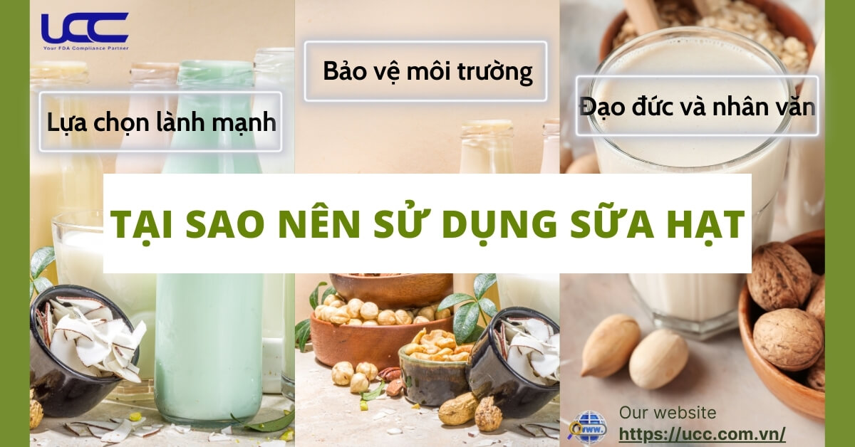 Tại sao nên sử dụng sữa hạt