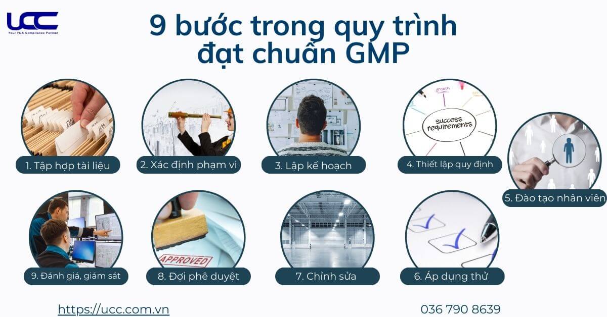 Quy trình đạt chuẩn GMP