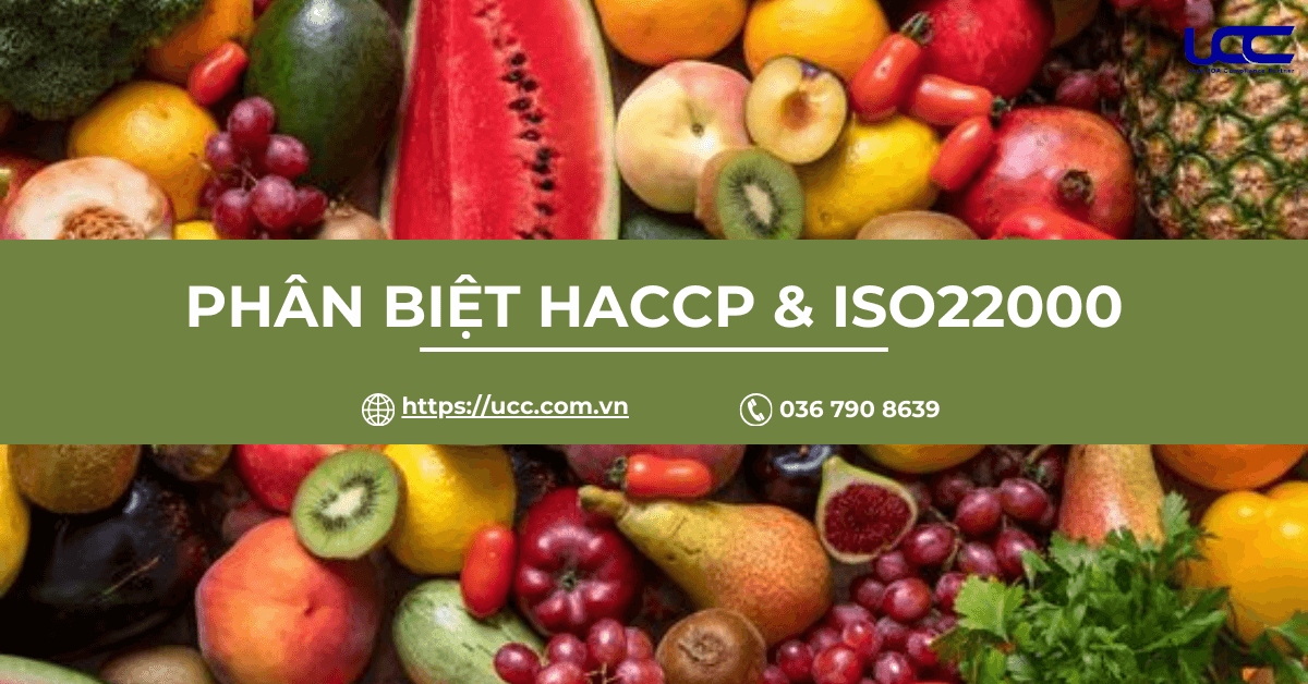 Sự khác nhau giữa HACCP và ISO 22000