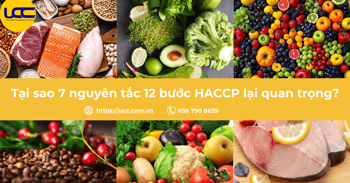 Vai trò Chứng nhận HACCP