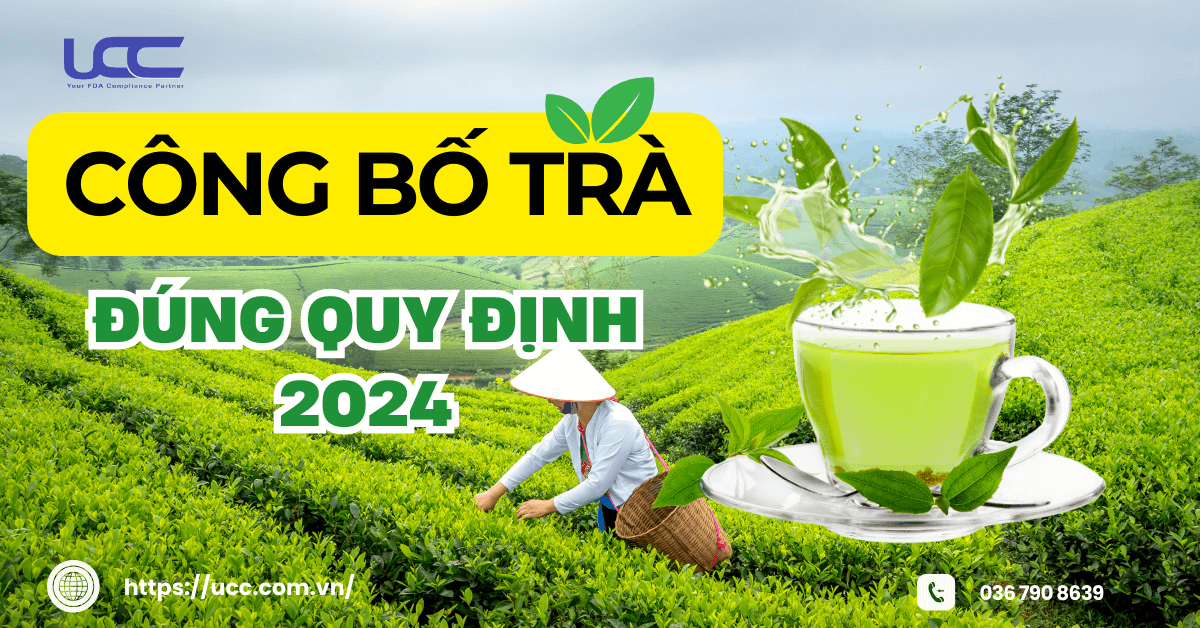 Công bố trà đúng quy định 2024