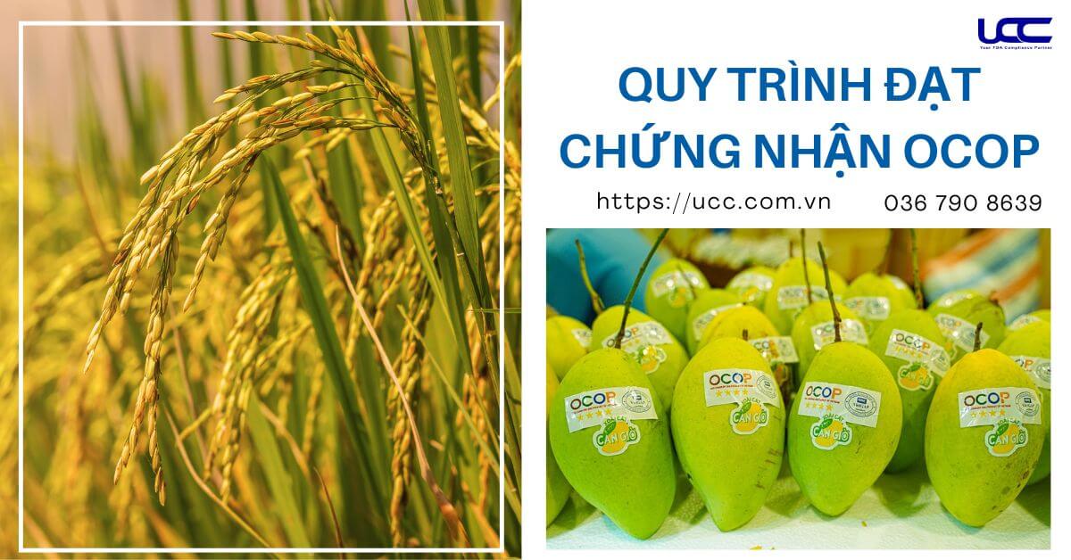 Quy trình chứng nhận sản phẩm OCOP