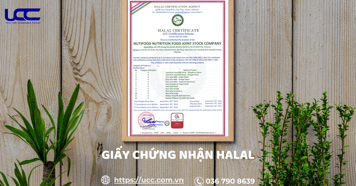 Mẫu giấy chứng nhận