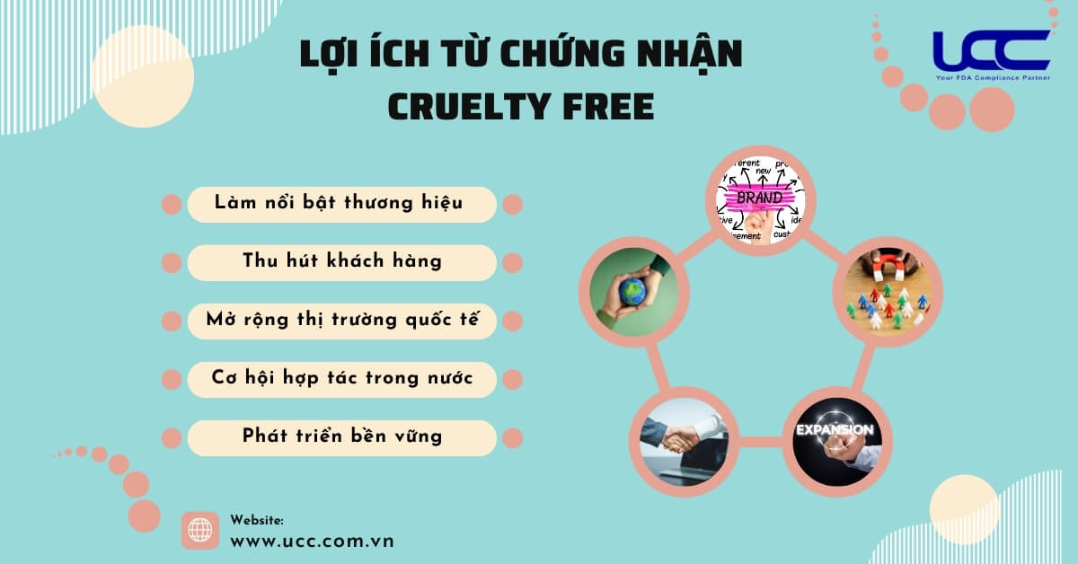 Chứng nhận Cruelty Free dệt may mang lại những lợi ích thiết thực cho doanh nghiệp