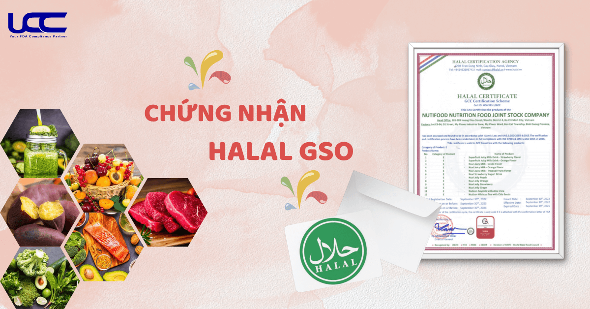 Giấy chứng nhận tham khảo