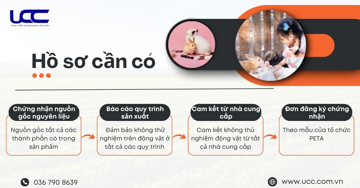 Doanh nghiệp của bạn cần chuẩn bị đầy đủ các loại giấy tờ và tài liệu liên quan sau đây