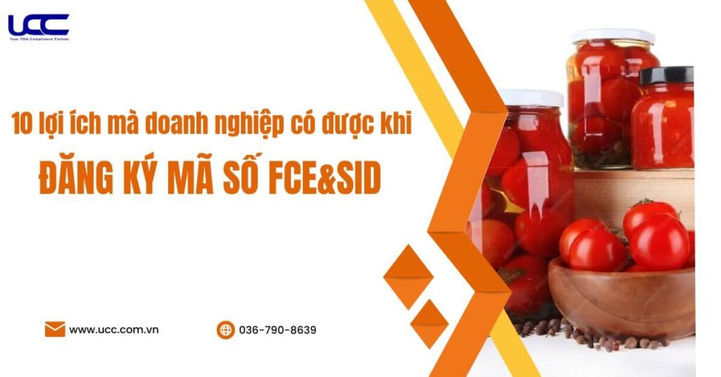10 lợi ích bất ngờ khi doanh nghiệp đăng ký FCE&SID