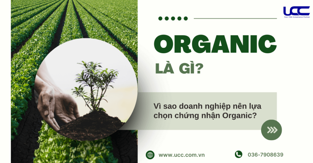Organic là gì mà trở thành xu hướng hiện nay?