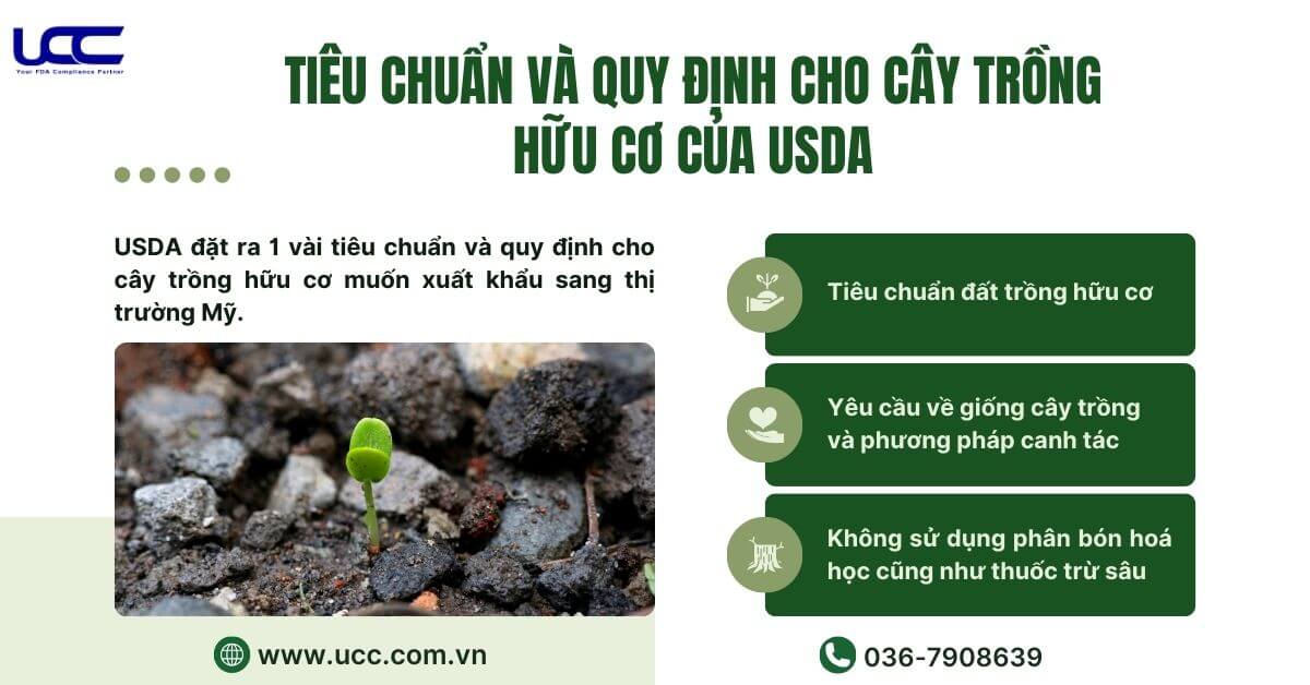 Tuân thủ 3 tiêu chuẩn này, doanh nghiệp sẽ dễ dàng tiếp cận chứng nhận USDA hơn