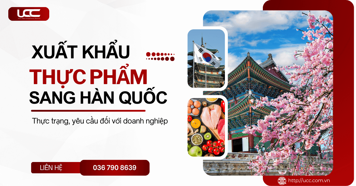 Xuất khẩu thực phẩm sang Hàn - Thực trạng, yêu cầu cho doanh nghiệp