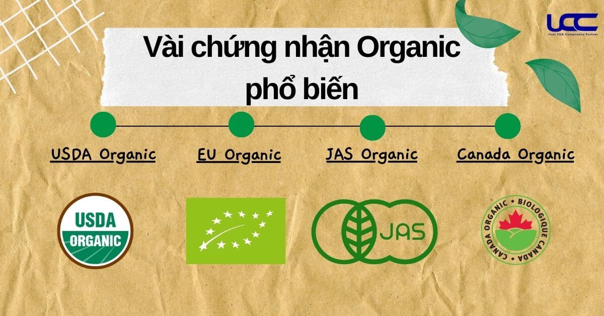 Top 4 chứng nhận Organic phổ biến