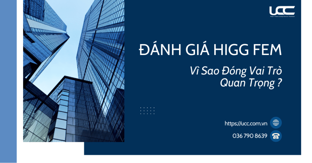 đánh giá Higg FEM