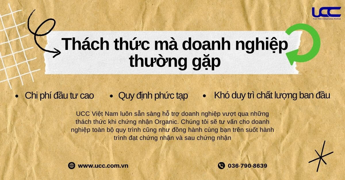 UCC luôn sẵn sàng đồng hành cùng doanh nghiệp vượt qua mọi thách thức