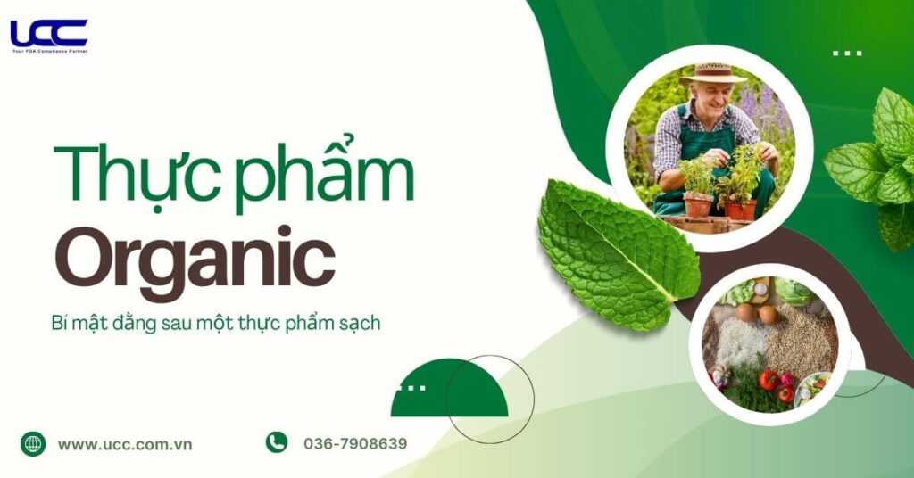 Thực phẩm organic là gì?