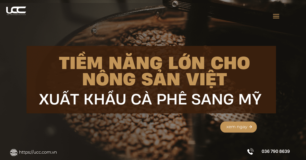 Xuất khẩu cà phê sang Mỹ - Tiềm năng lớn cho nông sản Việt