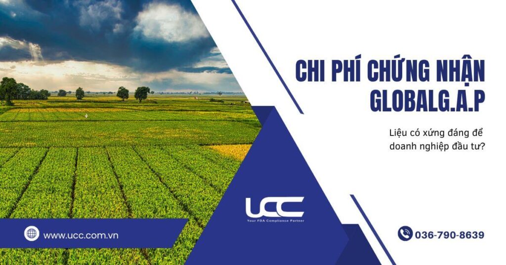 Giải đáp thắc mắc cho doanh nghiệp về chi phí chứng nhận GlobalG.A.P
