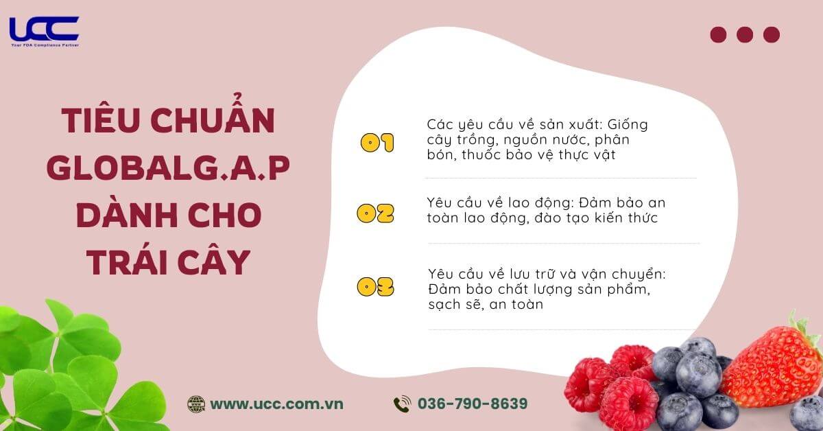 Các doanh nghiệp cần tuân thủ 3 tiêu chuẩn này để có thể đạt chứng nhận