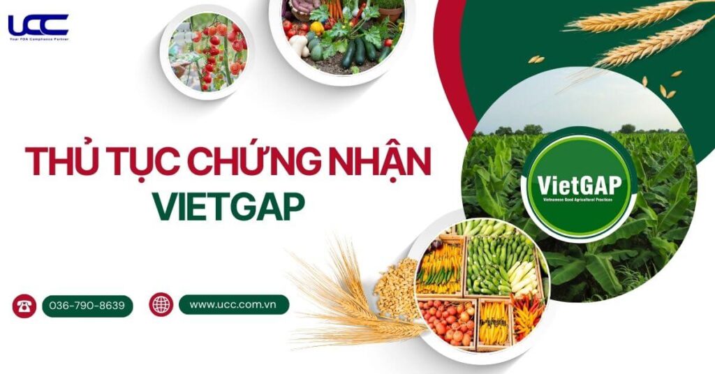 Thủ tục chứng nhận VietGAP
