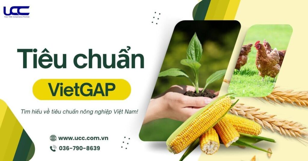 VietGAP là tiêu chuẩn nông nghiệp phổ biến tại Việt Nam