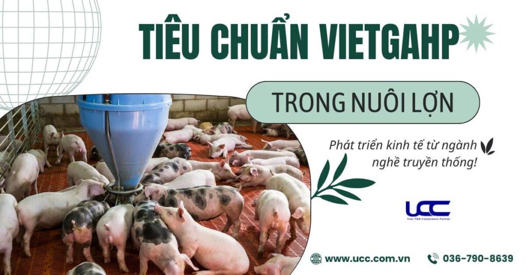 Tiêu chuẩn VietGAHP áp dụng trong chăn nuôi lợn