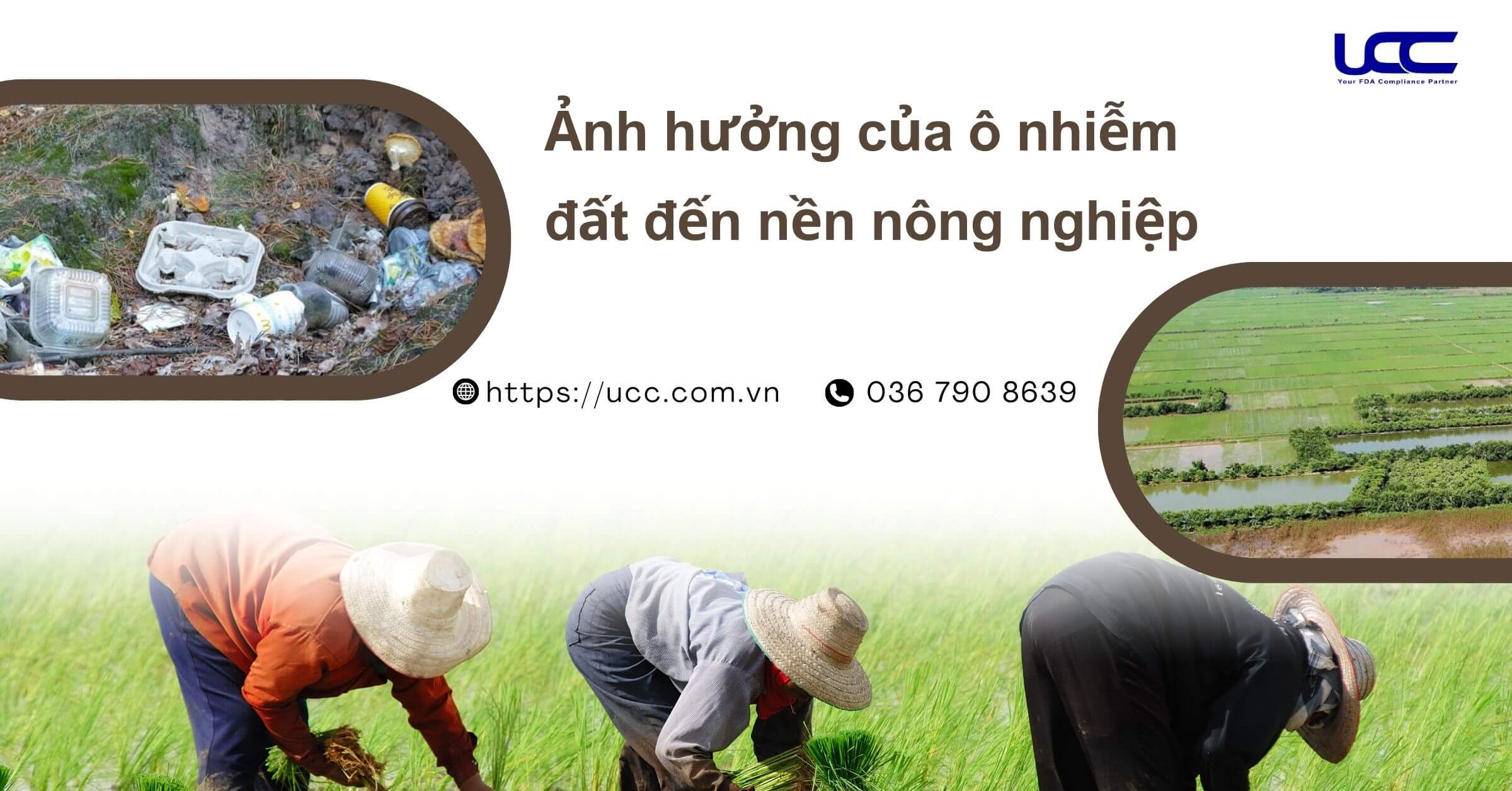 Ảnh hưởng của ô nhiễm đất đến nền nông nghiệp