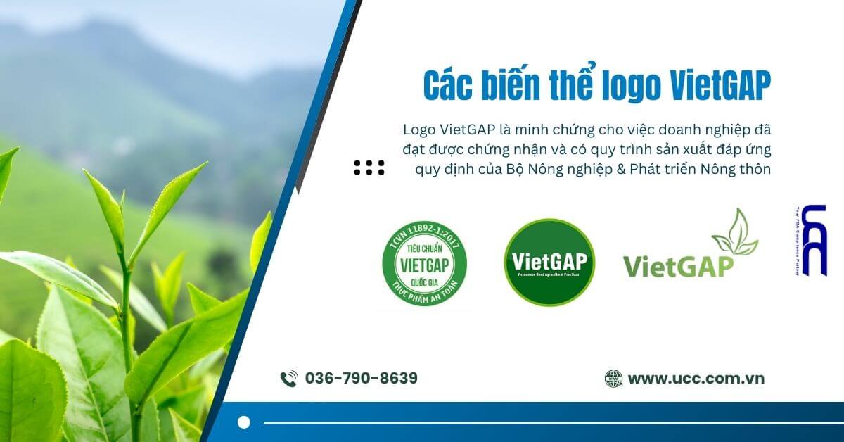 Các biến thể của logo VietGAP