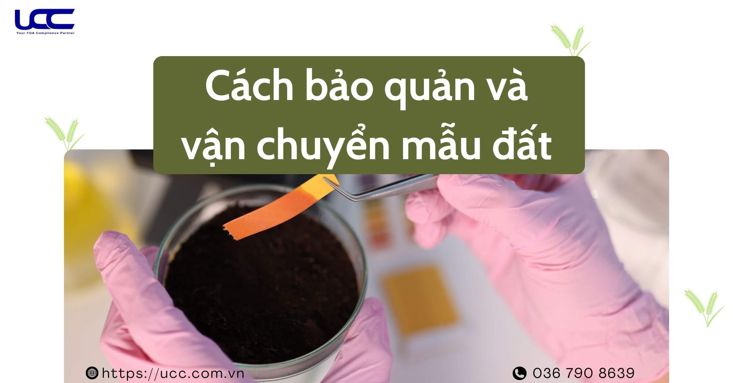 Cách bảo quản và vận chuyển mẫu đất