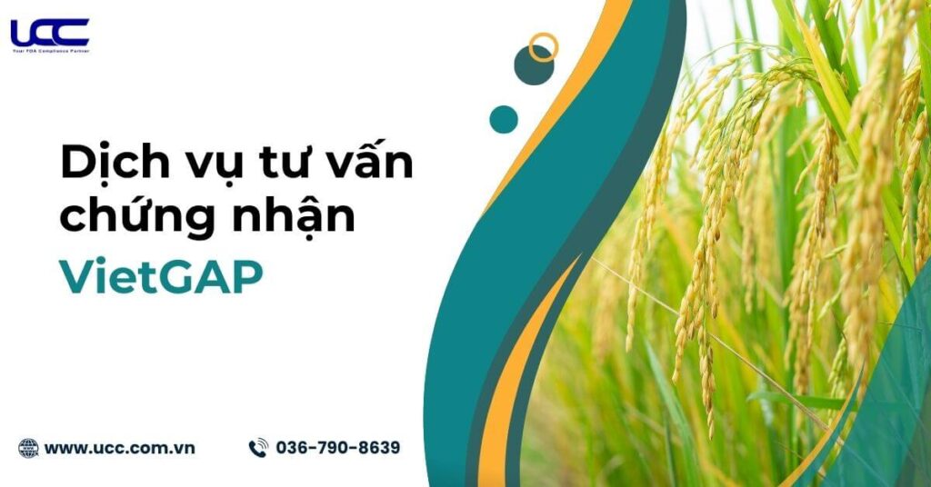 DỊch vụ tư vấn chứng nhận VietGAP tại UCC Việt Nam