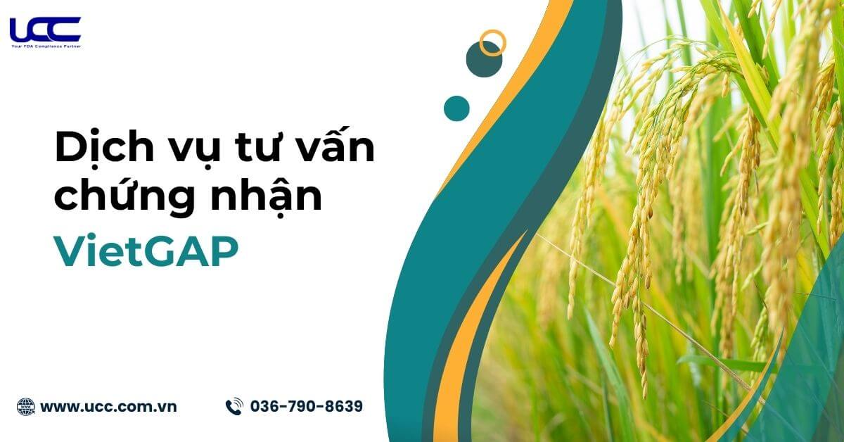 Dịch vụ tư vấn chứng nhận VietGAP- Hỗ trợ nhanh chóng, tiết kiệm